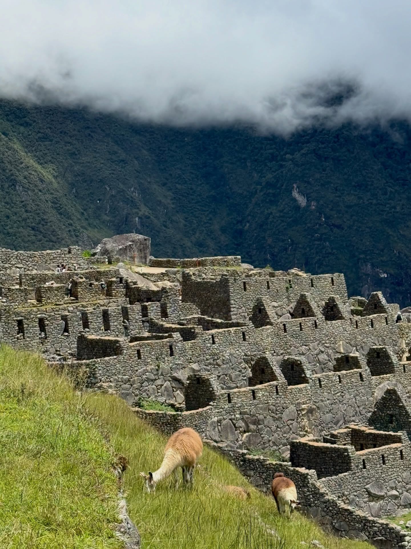 Machu Picchu view